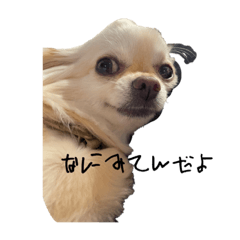 arisa_20230909205308