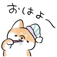 Moving Shiba Inu Dog<funny>
