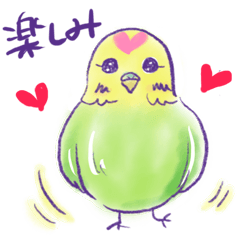 Heartful Budgerigar Bird