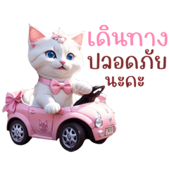 White cat, racing girl, cute, bright