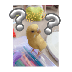 SAYURI_20230910150841