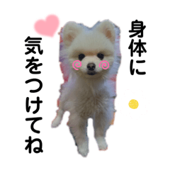 MICHIKO_20230910152450