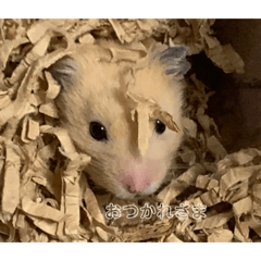 kinhamu_20230910161935