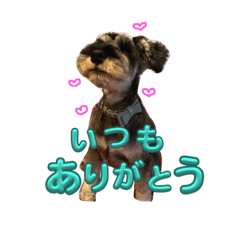 hana_20230910155330