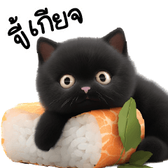 แมวดำซูชิ จอมขี้เกียจ