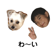 pooch taiyo