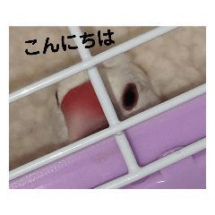 yuto_20230910173509