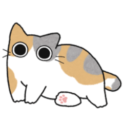 Dilute calico chubby cat (No text)