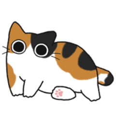 Calico chubby cat (No text)