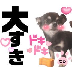 junjun_20230910175942