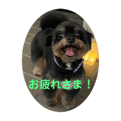 aoi_20230910183227