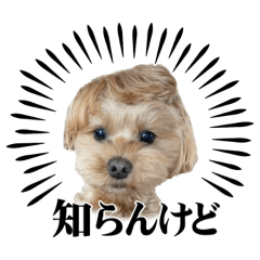 kichi_20230910201129