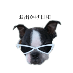 sakura_20230909194930