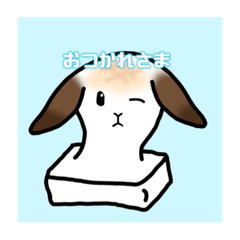 omochi_20230911110122