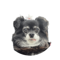 hiyori_20230911003232