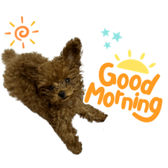 Mii0924_20230911091828