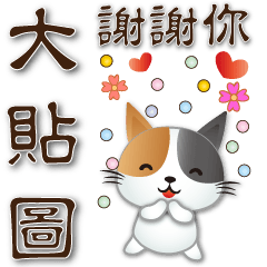 Useful phrases stickers-cute Calico cat