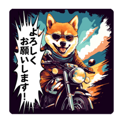 I love motorcycles!Shiba Inu Rider!