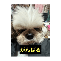 hana_20230911170918
