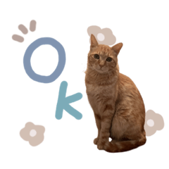 chisa_20230911200023