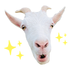 GORILAND_20230911194054