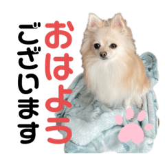 HIYORI_20230911185908