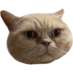 ARISA_20230912004423