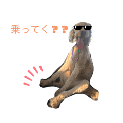 Suzu_20230911211517
