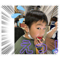 yayoi_20230911220208