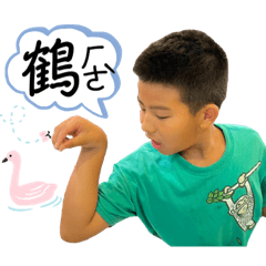 周蔡張