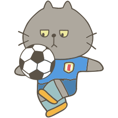cool silver cat plays soccer