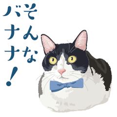 おもしろ昭和コトバをしゃべる猫 ♪
