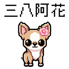 pixel party_8bit Chihuahua4