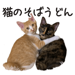 Cat SOBA and UDON sticker