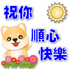 Cute Shiba-Daily Practical Phrases