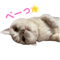 ARISA_20230912124946