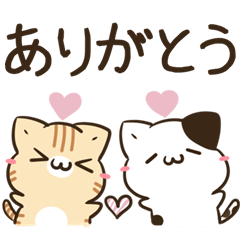 Jump out! Tabby cat & bicolor cat