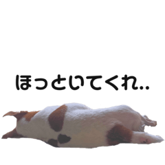 yuka_arrow58