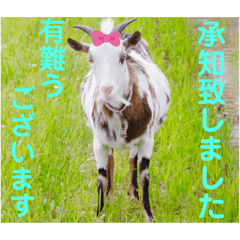 sayuri_20230911210347