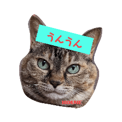 NOZOMI_20230911162343