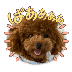 kana_20230911160251