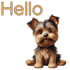 Yorkshire Terrier Dog - Bingo (Eng Ver.)