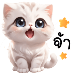 White baby Cat cute (mini)