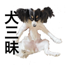 rara_20230912000303 - Stiker LINE | LINE STORE