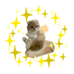 ARISA_20230912180615