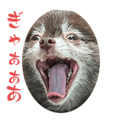 ゆーあんどわら