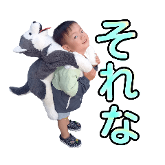 koto_20230913093442