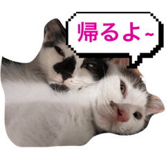 Jack_20230912232655