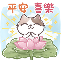 Dai pi cat-Friendly greetings