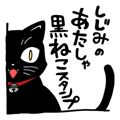Shijimi the Black Cat